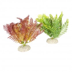 PLANTE BOLBITIS M H17.5...