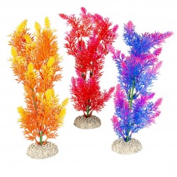 PLANTE ELODEA DENSA MIX M...