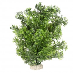 PLANTE PHOENI XL H30 vert...