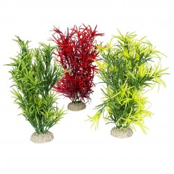 PLANTE HYDRILLA MIX NATUREL...