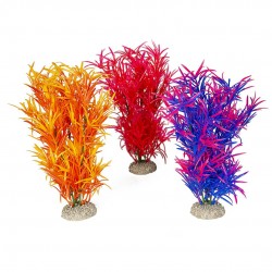 PLANTE HYDRILLA MIX L H27...