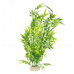 PLANTE BAMBOO XL H37 vert...