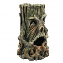 ARBRE VISAGE 1 AQUA DELLA