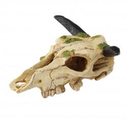 CRÂNES CARABOAS 22CM TERRA...