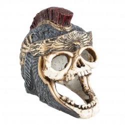 TÊTE DE MORT ROMAINE L AQUA...