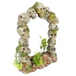 PORTE TÊTE DE MORT AQUA DELLA