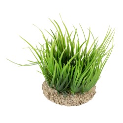 Helanthium 10CM vert