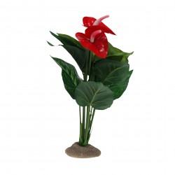 Anthurium 30CM vert