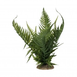 Fougère M vert