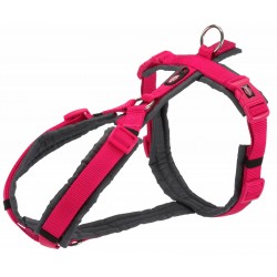 Harnais Premium trekking M...