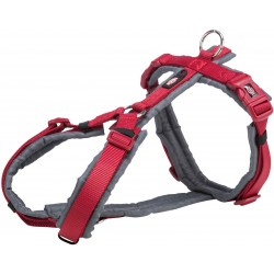 Harnais Premium trekking S...
