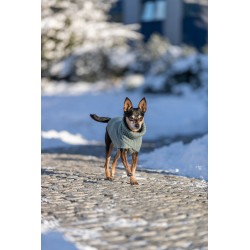 TRIXIE CITY STYLE BERLIN...