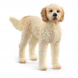 Chien Goldendoodle Farm...