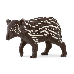 Jeune Tapir Wild Life H3.2...