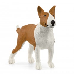 Bull Terrier Farm World...