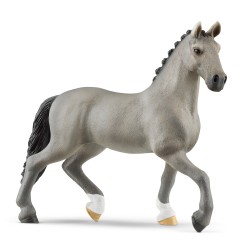 Étalon Selle Français Horse...