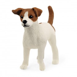Jack Russell Terrier Farm...