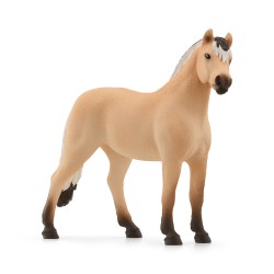 Hongre Fjord Horse Club H11...