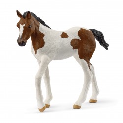 Poulain Paint Horse Horse...