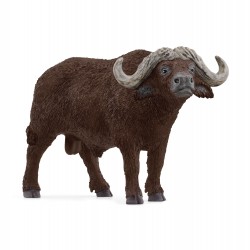 Buffle D’Afrique Wild Life...