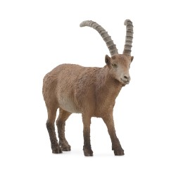Bouquetin Wild Life H3.2...