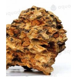 Pierre CANYON 0.8/1.2KG...