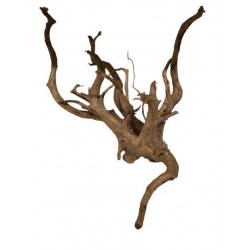 Racine RED MOOR WOOD Medium...