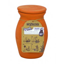 Ollas Traditionnel...