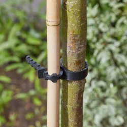 Clip cravates d'arbre 60CM