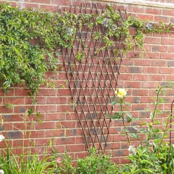 Treillis éventail...