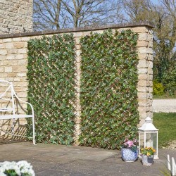 Treillis saule feuille d...