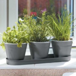 Pots pour aromates d'intérieur