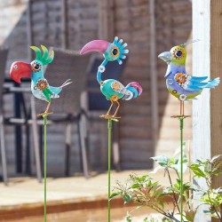 Piques oiseaux FLAMBOYA....