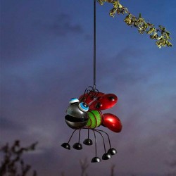 Coccinelle ladyglo...