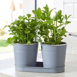 Pots Herbes Ardoise 1L...