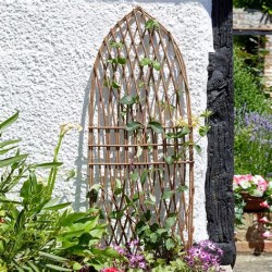 Treillis cathédrale...