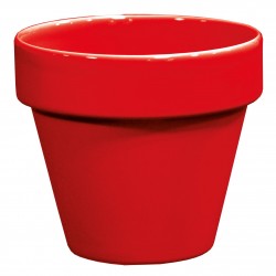 Pot Standard Rainbow Rouge...