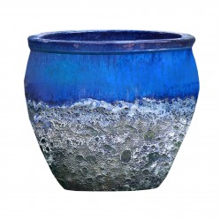 Pot Cuvier Leon Bleu En...