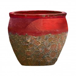 Pot Cuvier Leon Rouge En...