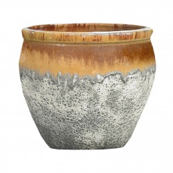 Pot Cuvier Leon Miel En...