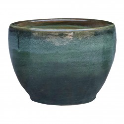 Coupe Littoral Vert Amande...