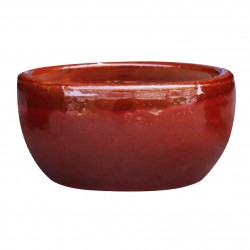 Coupe Littoral Rouge En...