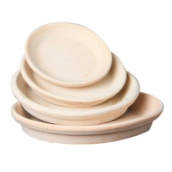 Soucoupe Sencillo Rose En...