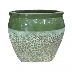 Pot Cuvier Rebord Leon Vert...