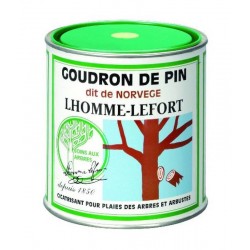 LHOMME-LEFORT SOINS AUX...