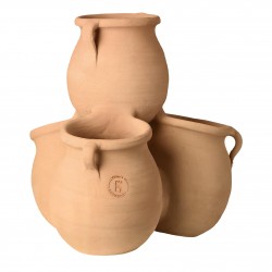 Cactus Catalanes Terre...