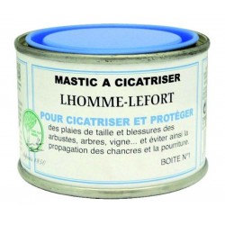 LHOMME-LEFORT SOINS AUX...