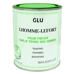 LHOMME-LEFORT SOINS AUX...