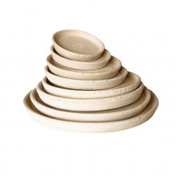 Soucoupe Tierra Viva...