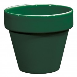 Pot Standard Rainbow Vert...